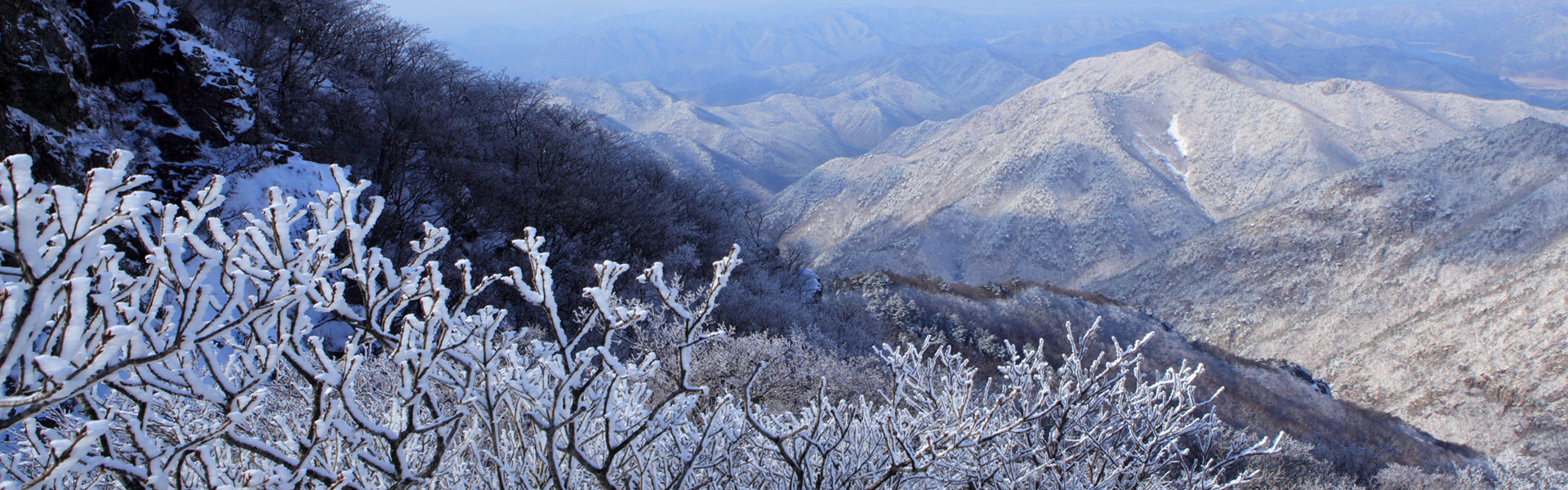 가지산겨울