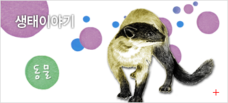 생태이야기 동물