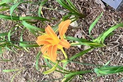 2022년 7월 모니터링