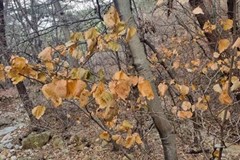 2022년 11월 모니터링