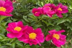 2024년 5월 모니터링