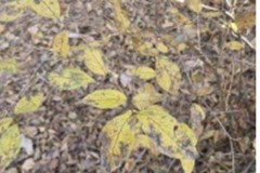 2025년 11월 모니터링