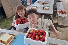 2023년 4월 15일 생태관광 딸기농장체험 가족