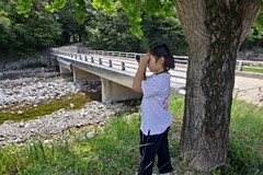 2023년 6월 20일 환경교실 운문사 생태놀이터 유천초등학교 학생들